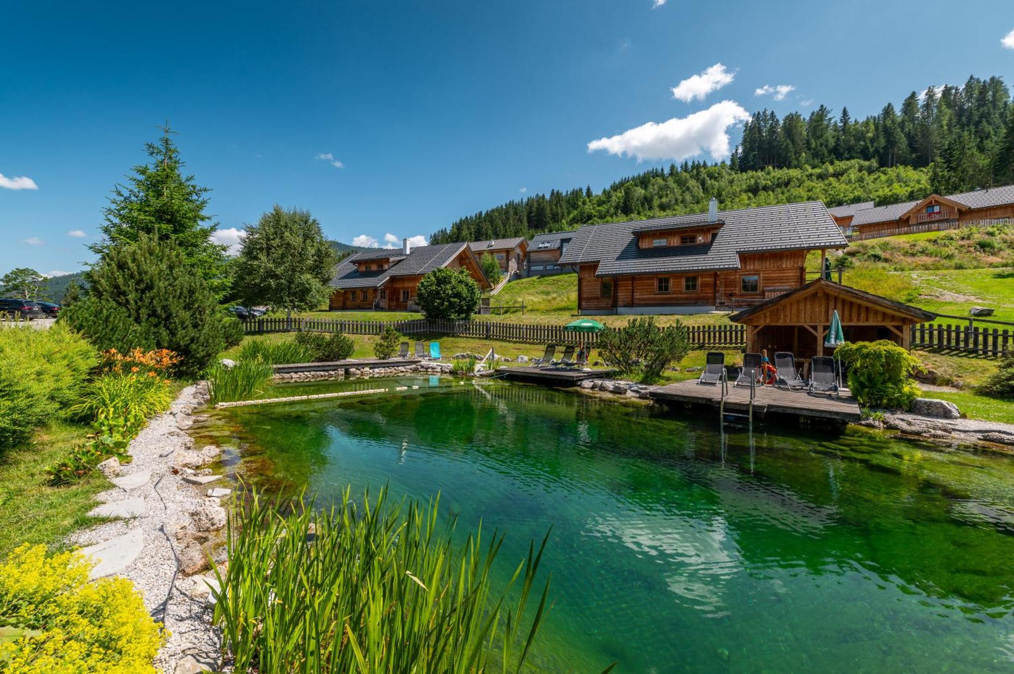 Poolchalet Dachsteinblick Пруггерн Экстерьер фото